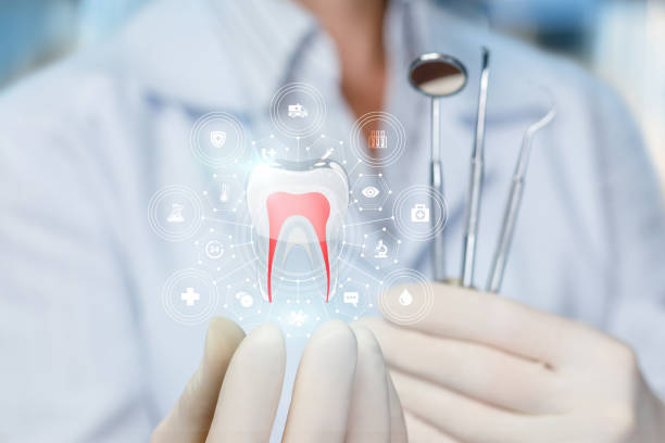  Collinwood, TN Holistic Dental Services Pros